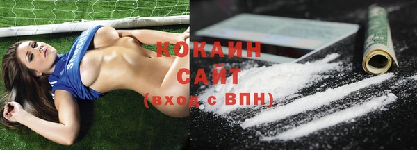 крисы Баксан