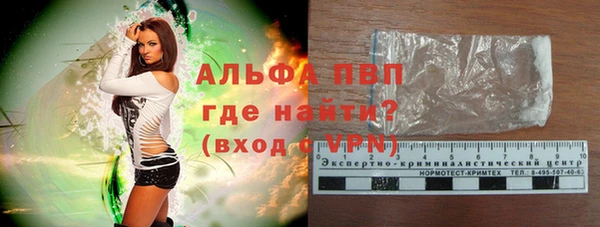 крисы Баксан