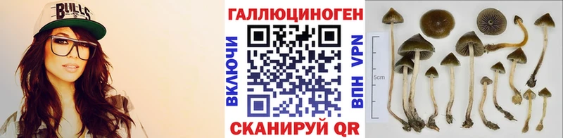 Псилоцибиновые грибы GOLDEN TEACHER Стрежевой