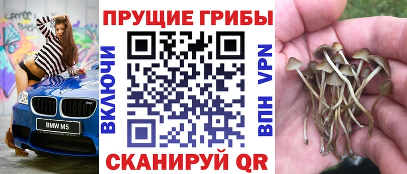 Псилоцибиновые грибы мицелий  OMG зеркало  нарко площадка наркотические препараты  Стрежевой 